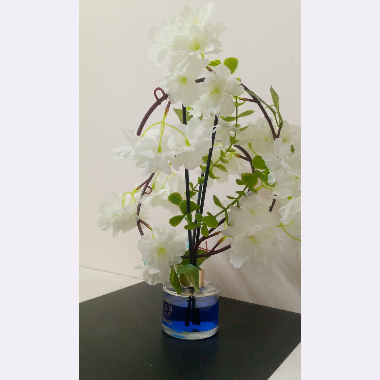 Transparent Draco Car & Home Diffuser