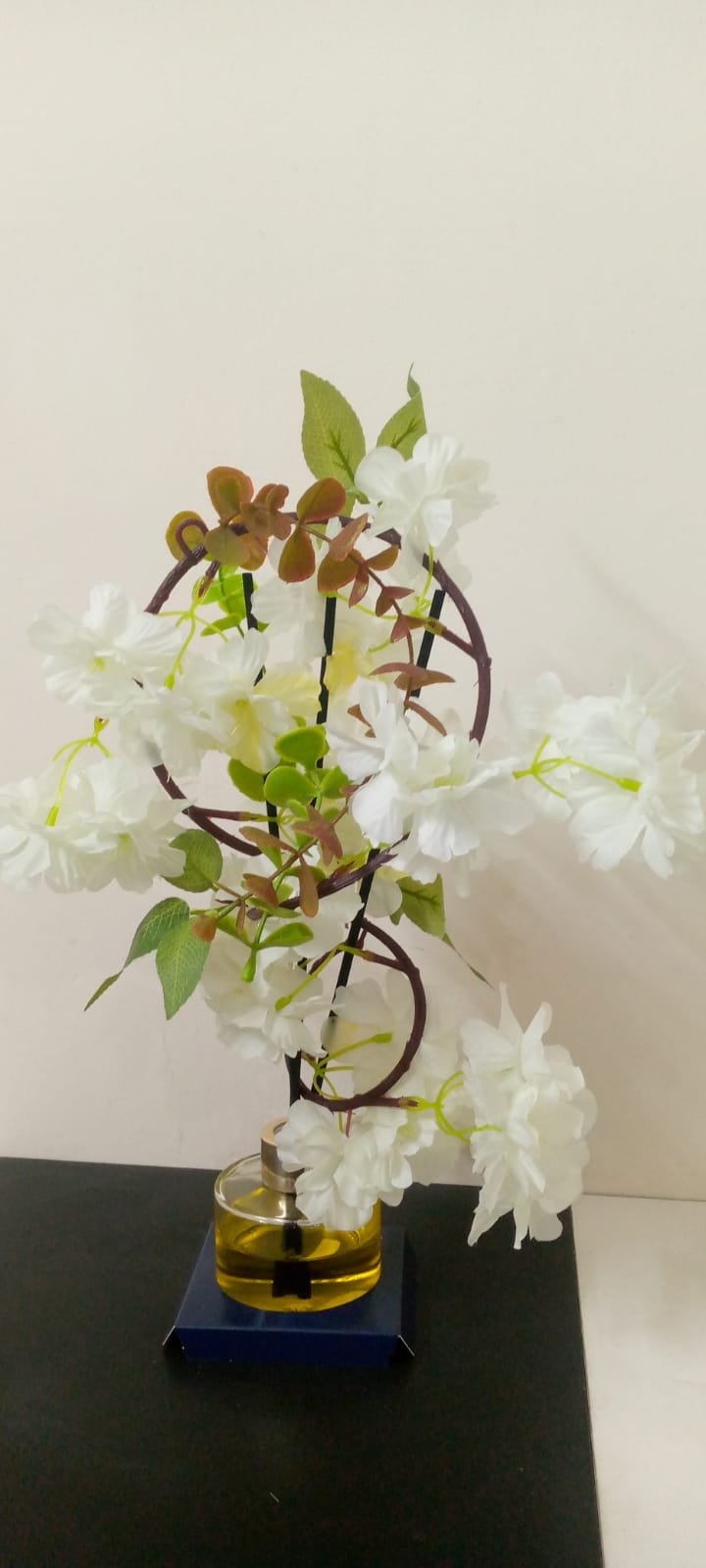 Transparent Draco Car & Home Diffuser peach