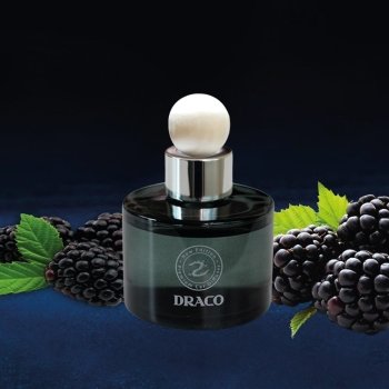 COATED Draco Car Diffuser   